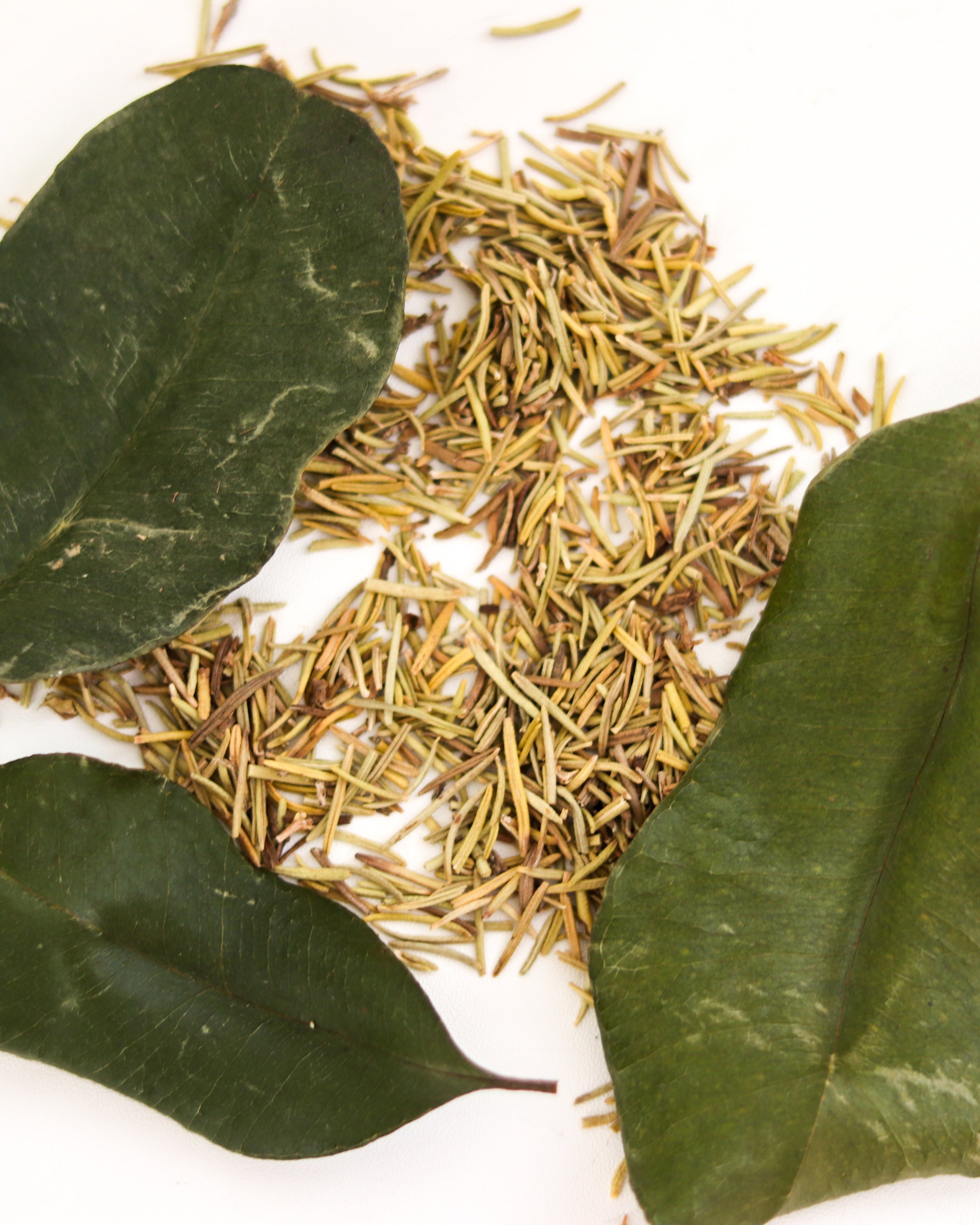 Dry herbs and leaves on a white background