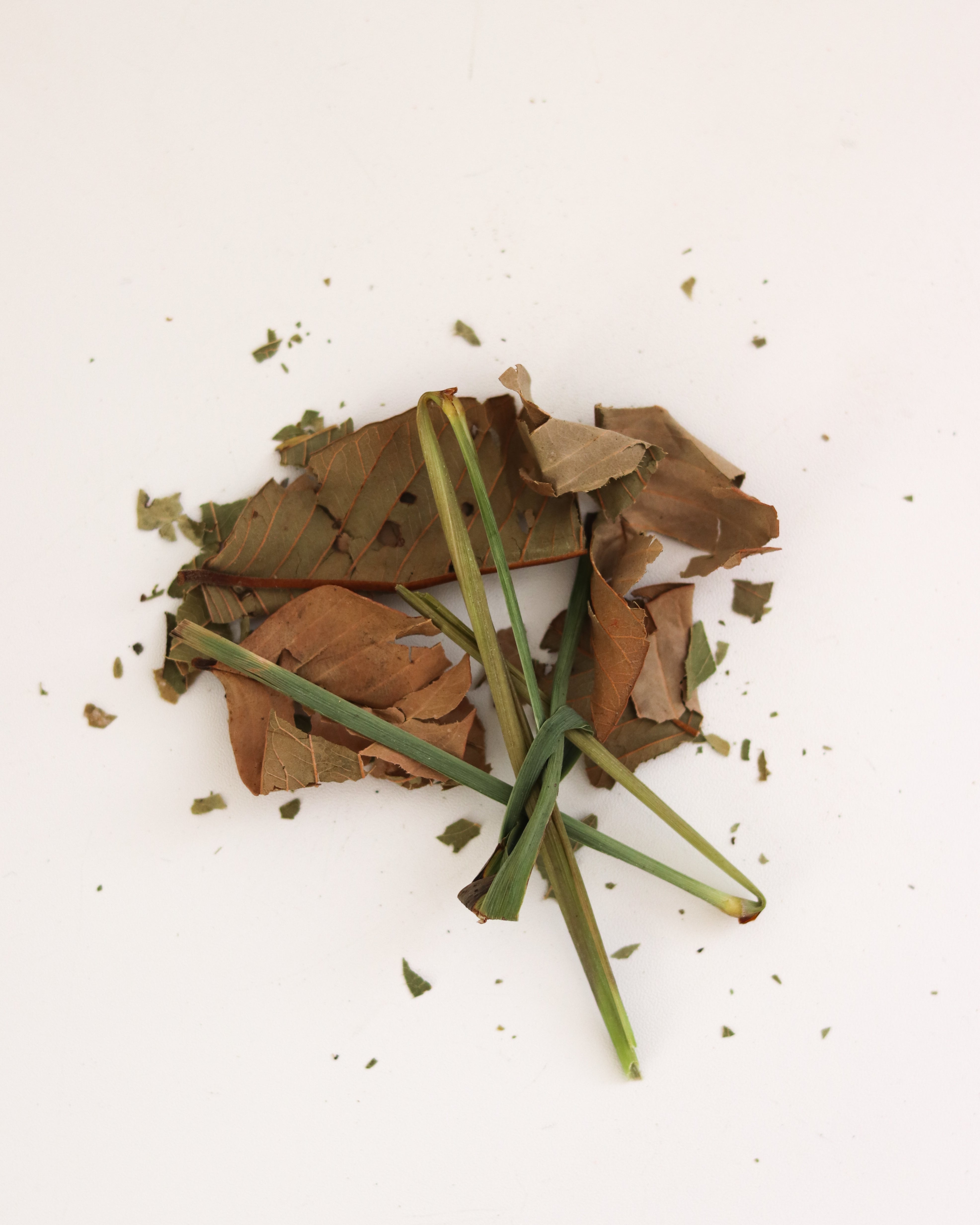 Dried leaves and herbs on a white background