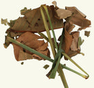 Dried guava leaf and lemongrass