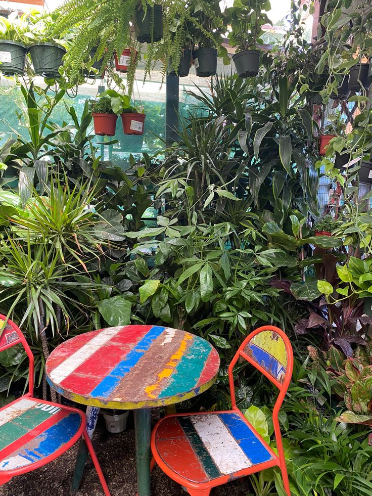 Entra al Patio