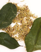 Dry herbs and leaves on a white background
